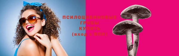 метадон Горняк