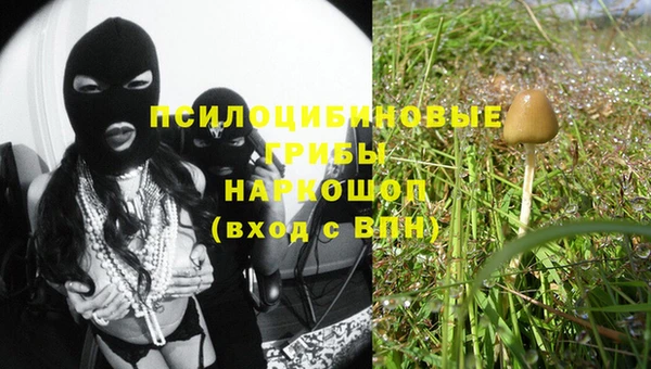 соль ск Горно-Алтайск