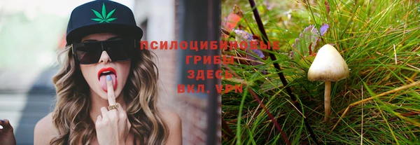 spice Горнозаводск