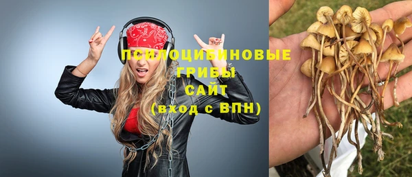 spice Горнозаводск