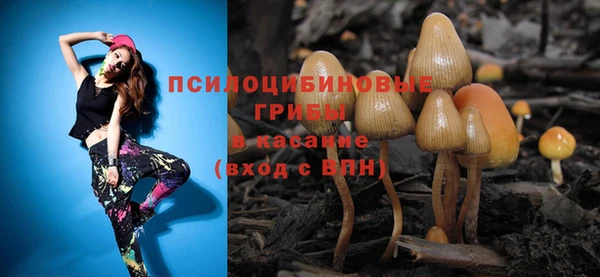 соль ск Горно-Алтайск