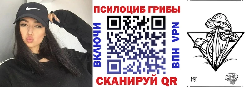 Псилоцибиновые грибы Psilocybine cubensis  купить   Нижневартовск 